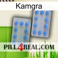 Kamgra 20